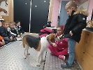 Bezpieczna komunikacja z psem - warsztaty