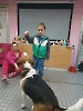 Bezpieczna komunikacja z psem - warsztaty