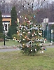 Christmas Party_6