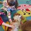 Czworonożni goście w przedszkolu_2