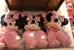 Disneyland