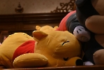 Disneyland