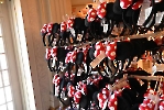 Disneyland