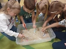 Dzień Dinozaura 2024