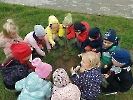 Dzień drzewa 2023