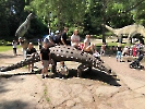 Dzień Dziecka w zoo_3