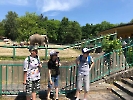 Dzień Dziecka w zoo_8