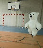 Dzień Niedźwiedzia Polarnego