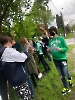 Innowacja Green Languages_2