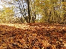 Jesienny etap konkursu fotograficznego