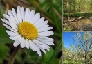Konkurs fotograficzny - wiosna_8