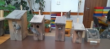 Śląski Ogród Botaniczny_8