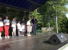Szkolno - sołecki piknik patriotyczny_1