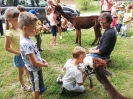 Warsztaty przyrodnicze z alpakami_10