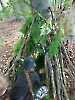 Warsztaty survivalowe_10