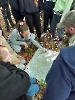Warsztaty survivalowe