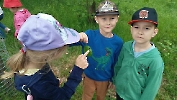 Warsztaty terenowe na ścieżce edukacyjnej „Trzy Dęby”_5