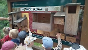 Warsztaty terenowe na ścieżce edukacyjnej „Trzy Dęby”_7