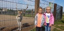 Wycieczka do Agroturystyki „Pod Skałką”_1