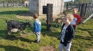 Wycieczka do Agroturystyki „Pod Skałką”_2