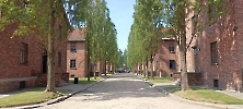 Wycieczka do Auschwitz-Birkenau_8