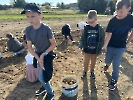 Wykopki na Ranczu Artemidy_3
